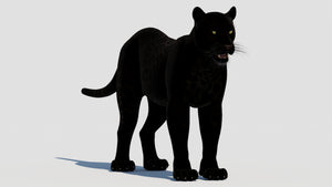 Realistic Panther 3D Model for Download Thumbnail