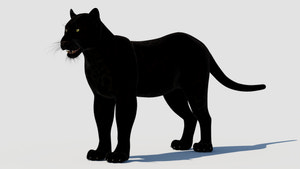 Lifelike Black Panther 3D Model for Download Thumbnail