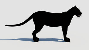 Natural Black Panther Animal 3D Model side view for Download Thumbnail