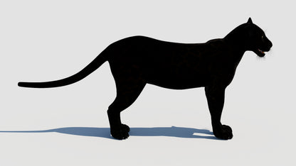 Natural Black Panther Animal 3D Model side view for Download