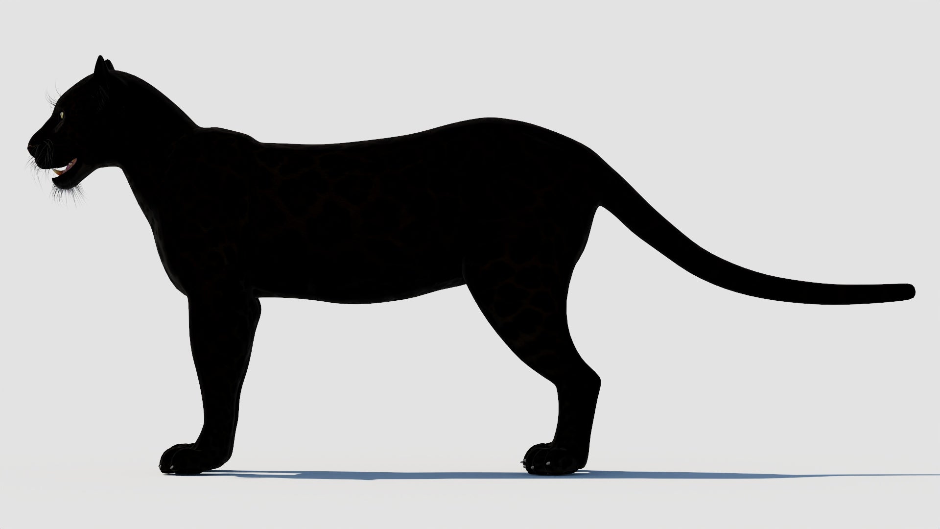 Realistic Black Panther Animal 3D Model for your Game, VR, and AR projects