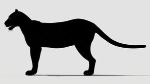 Realistic Black Panther Animal 3D Model for your Game, VR, and AR projects Thumbnail