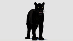 True-to-life Black Panther Animal 3D Model for Download Thumbnail