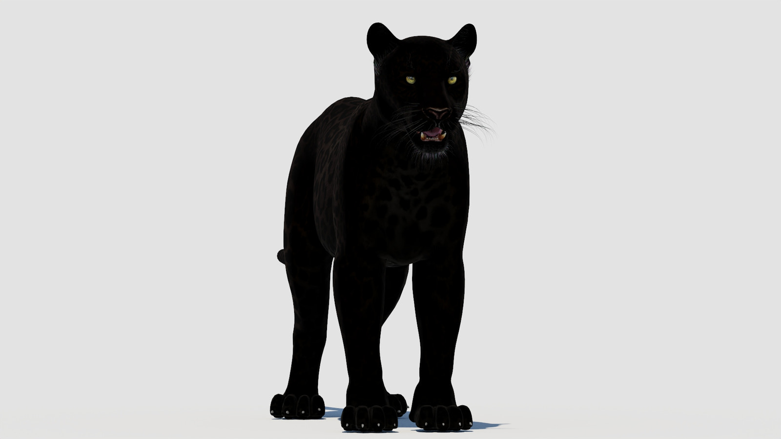 True-to-life Black Panther Animal 3D Model for Download
