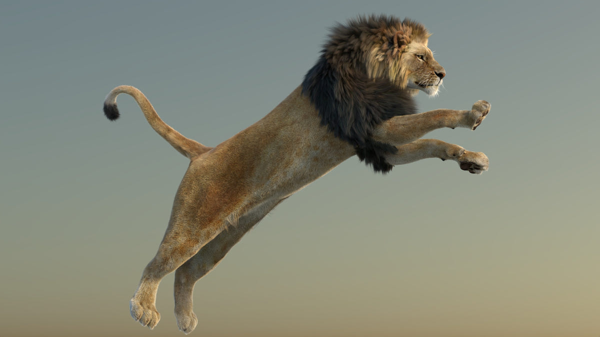 Realistic Jumping Lion 3D Model with Fur – Dynamic Pose