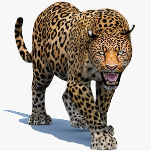 Realistic Leopard 3d Model Animated for Download Thumbnail