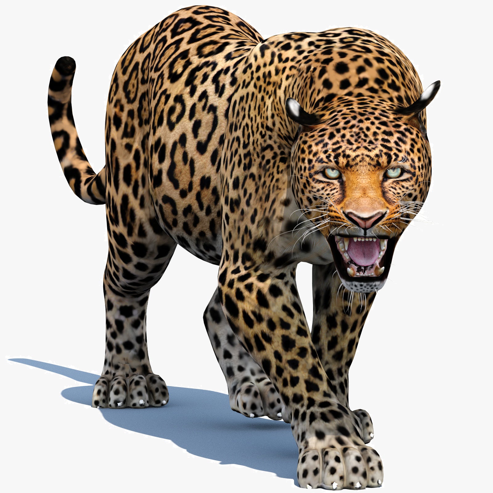 Realistic Leopard 3d Model Animated for Download