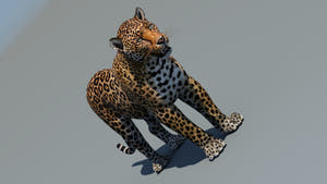 Realistic Leopard 3D Model - Game Ready Thumbnail