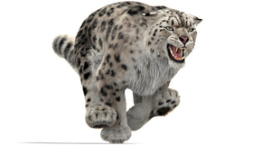 Animated Snow Leopard 3D Model with Ornatrix Fur Thumbnail