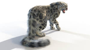 Animated Snow Leopard 3D Model with Hair and Fur Thumbnail