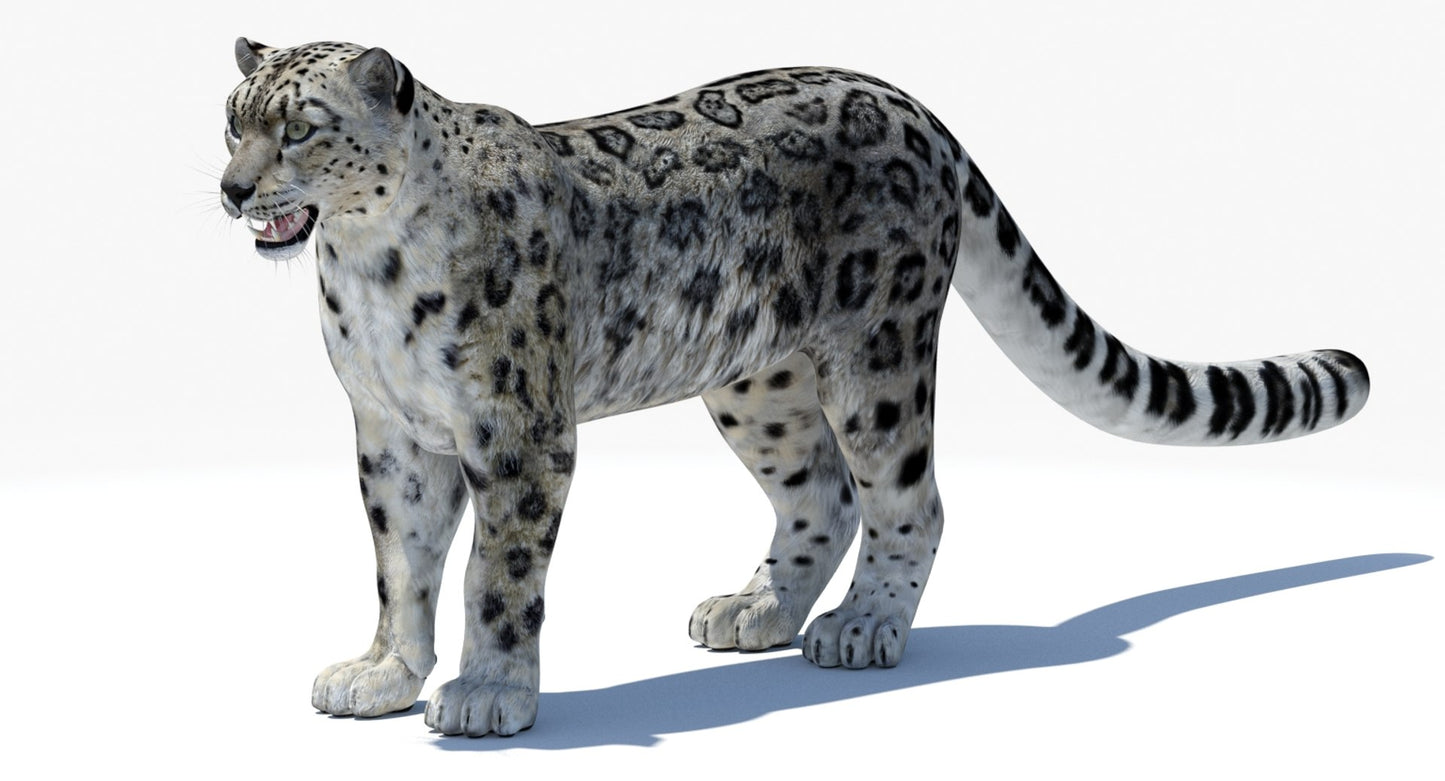 Realistic Snow Leopard 3D Model for Download