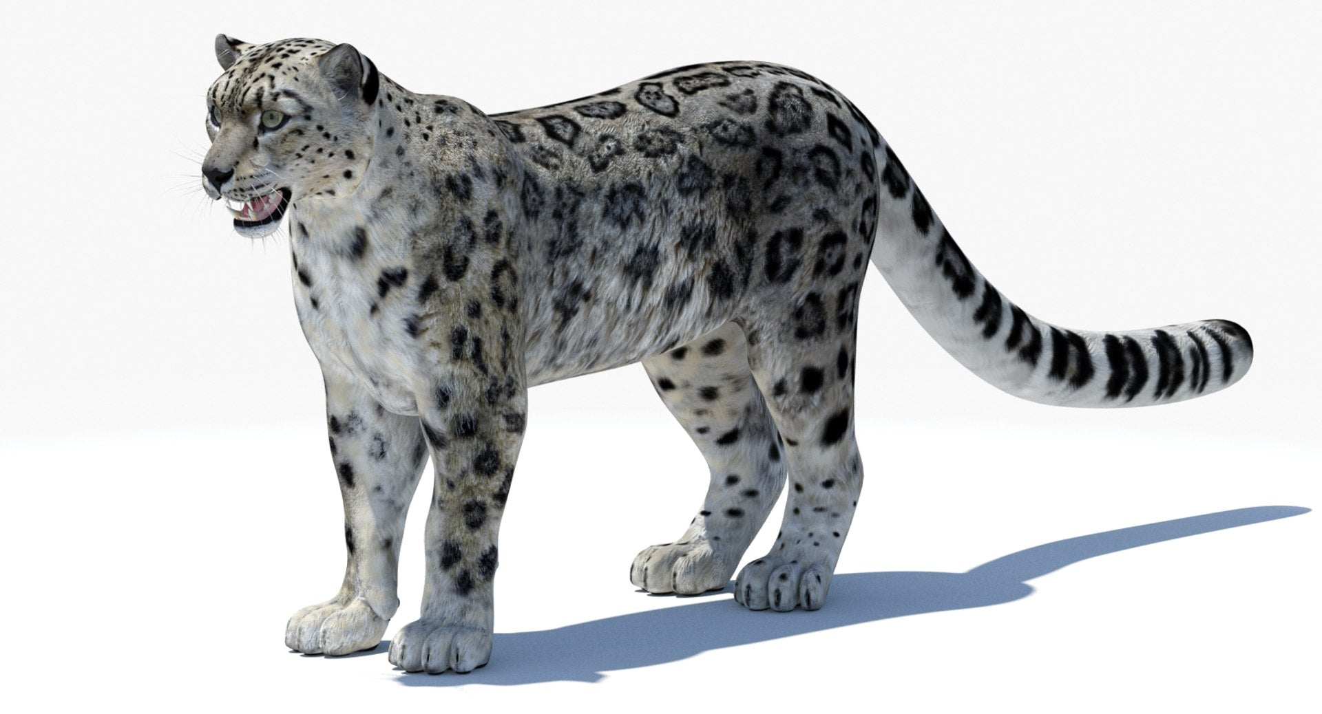 Realistic Snow Leopard 3D Model for Download