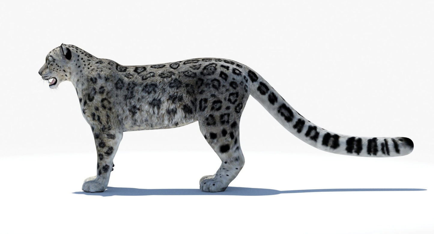Lifelike Snow Leopard 3D Model for Download