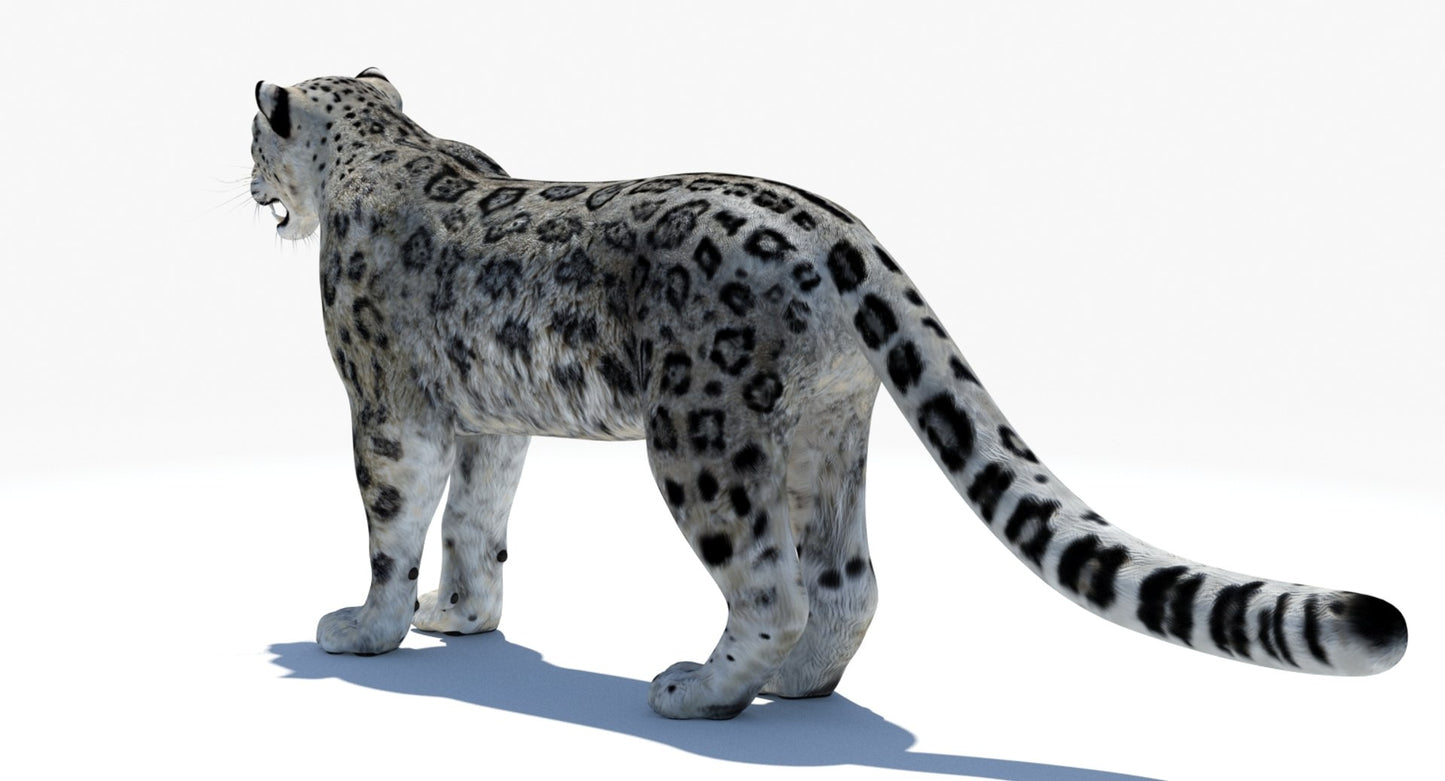 Realistic Snow Leopard 3D Model for Download