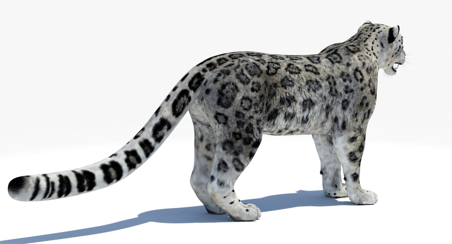 Realistic Snow Leopard 3D Model for Download