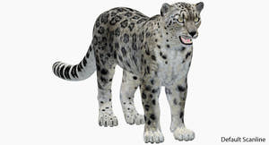 Realistic Snow Leopard 3D Model for Default Scanline Thumbnail