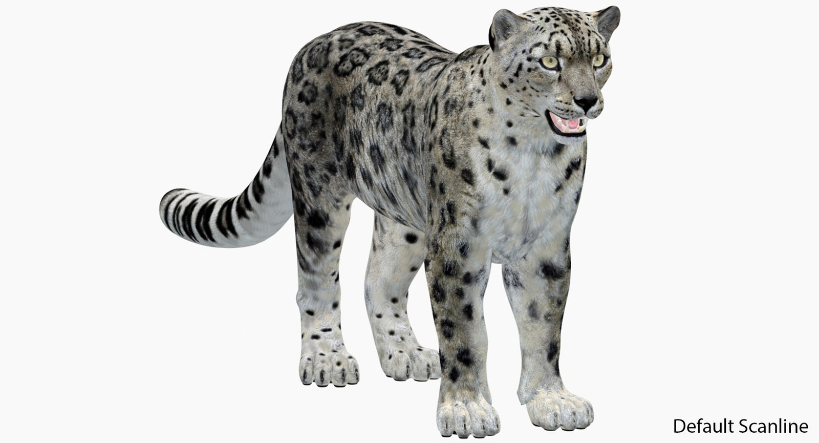 Realistic Snow Leopard 3D Model for Default Scanline