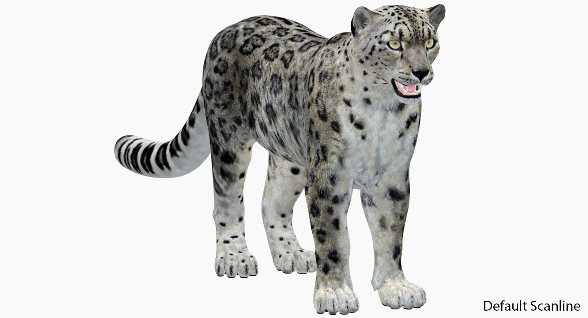 Realistic Snow Leopard 3D Model for Default Scanline
