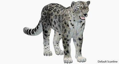 Realistic Snow Leopard 3D Model for Default Scanline
