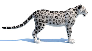 Realistic Snow Leopard 3D Model for download: Side View Thumbnail