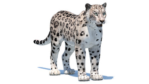 Lifelike Snow Leopard 3D Model - Game Ready Thumbnail