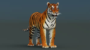A 3D-rendered tiger standing in profile against a dark gray gradient background. Thumbnail
