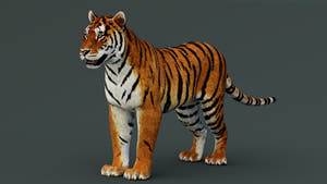 Realistic tiger 3d model 3ds max, Maya Thumbnail