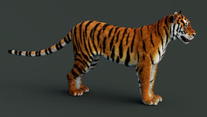 Game-Ready Tiger 3D Model PBR Thumbnail