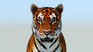 Tiger 3D Model Thumbnail