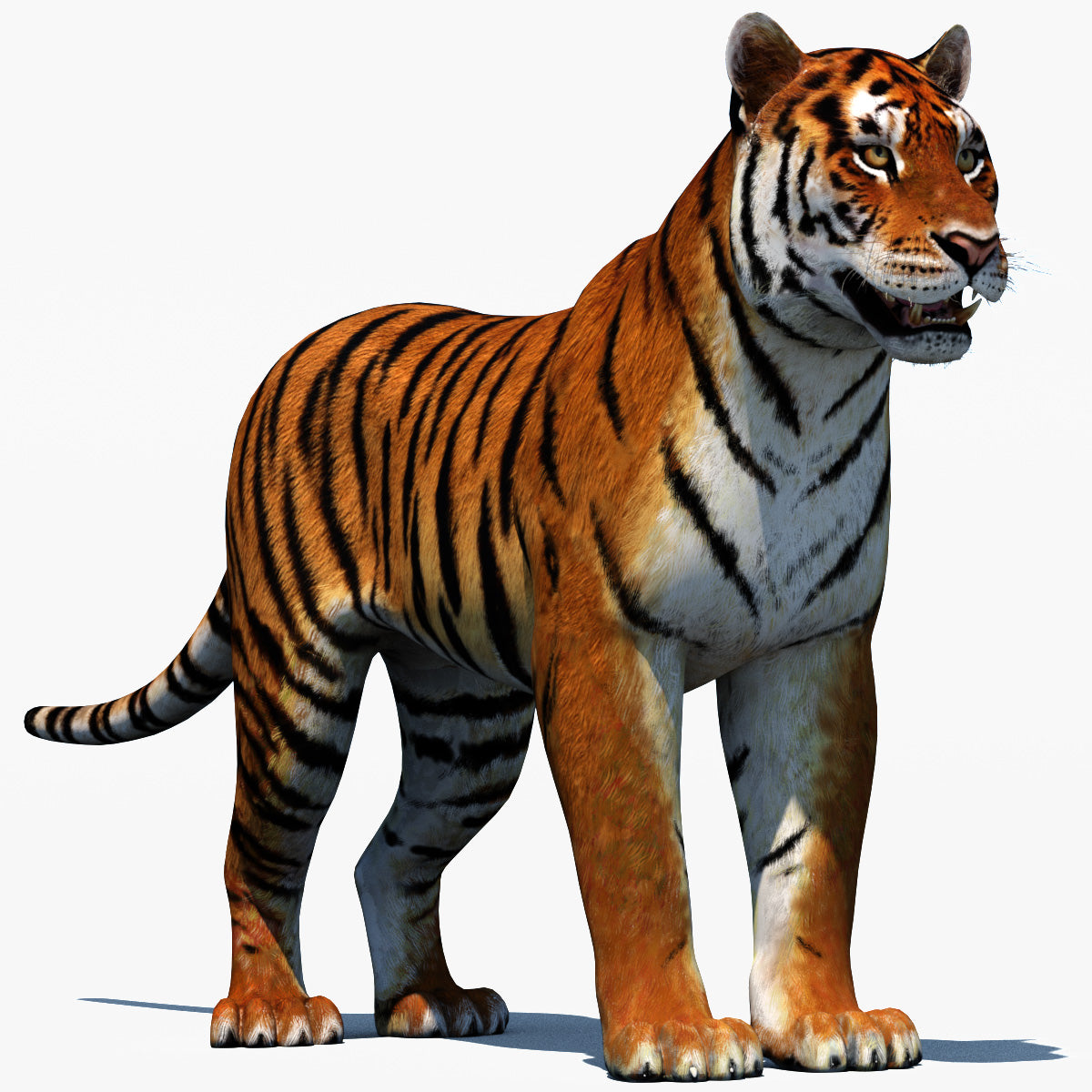 Realistic Tiger 3D Model for Download