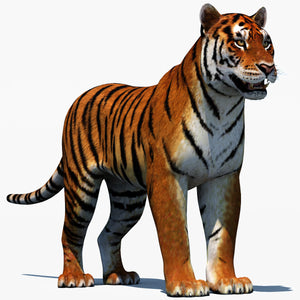 Realistic Tiger 3D Model for Download Thumbnail