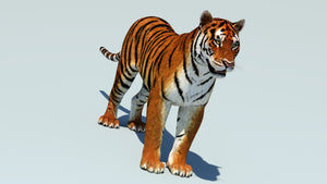 Realistic Tiger 3D Model for Game Thumbnail