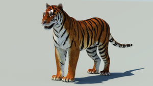 Realistic Tiger Animal 3D Model - Game Ready Thumbnail