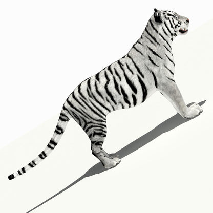Realistic White Tiger 3D Model for Download