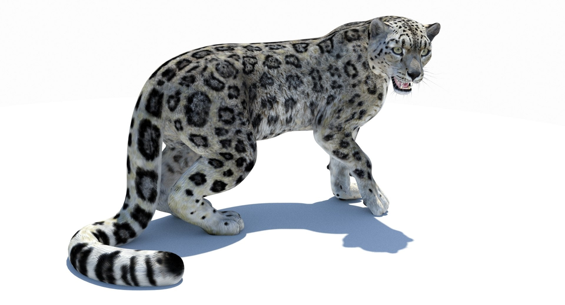 Realistic Snow Leopard 3D Model with CAT Motion Rigging of 3DS MAX