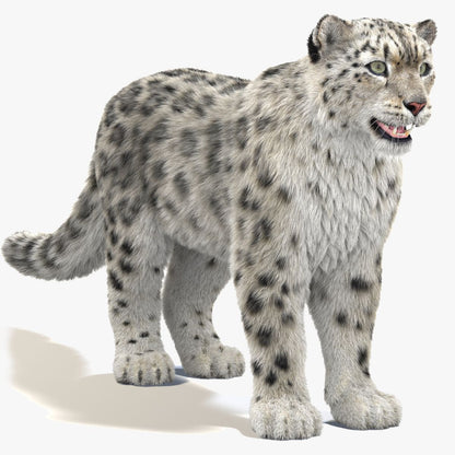 Realistic Snow Leopard 3D Model with Fur