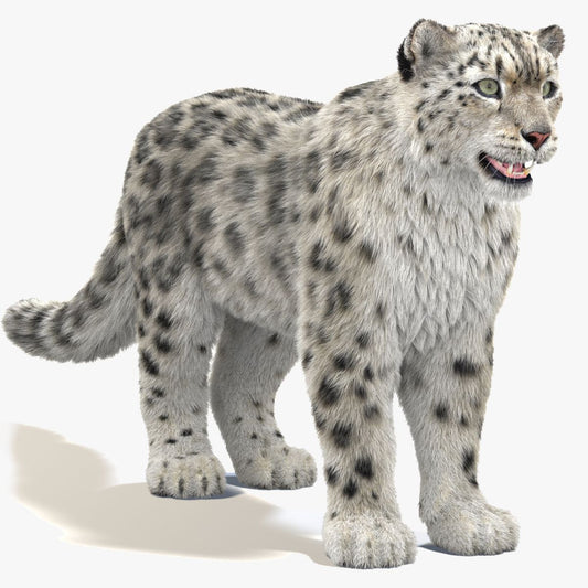 Realistic Snow Leopard 3D Model with Fur