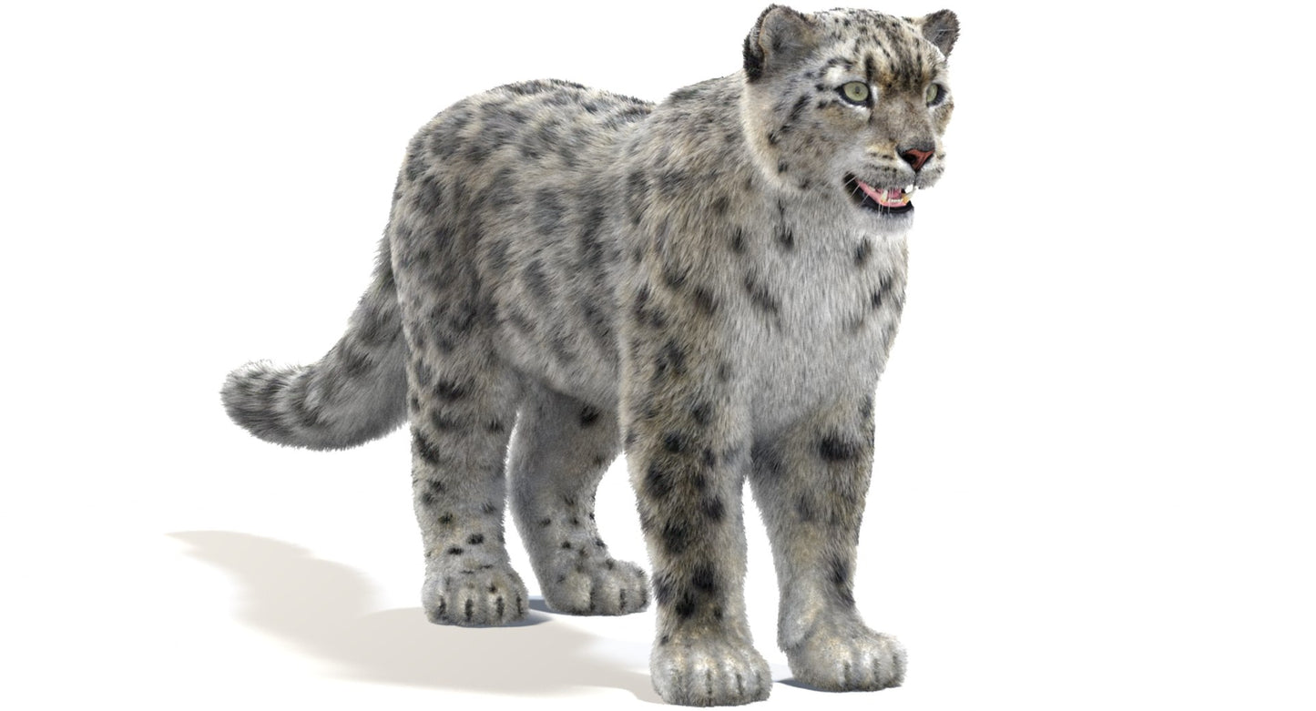 Snow Leopard 3D Model with 3ds Max Hair and Fur