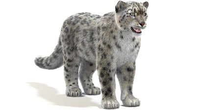 Snow Leopard 3D Model with 3ds Max Hair and Fur