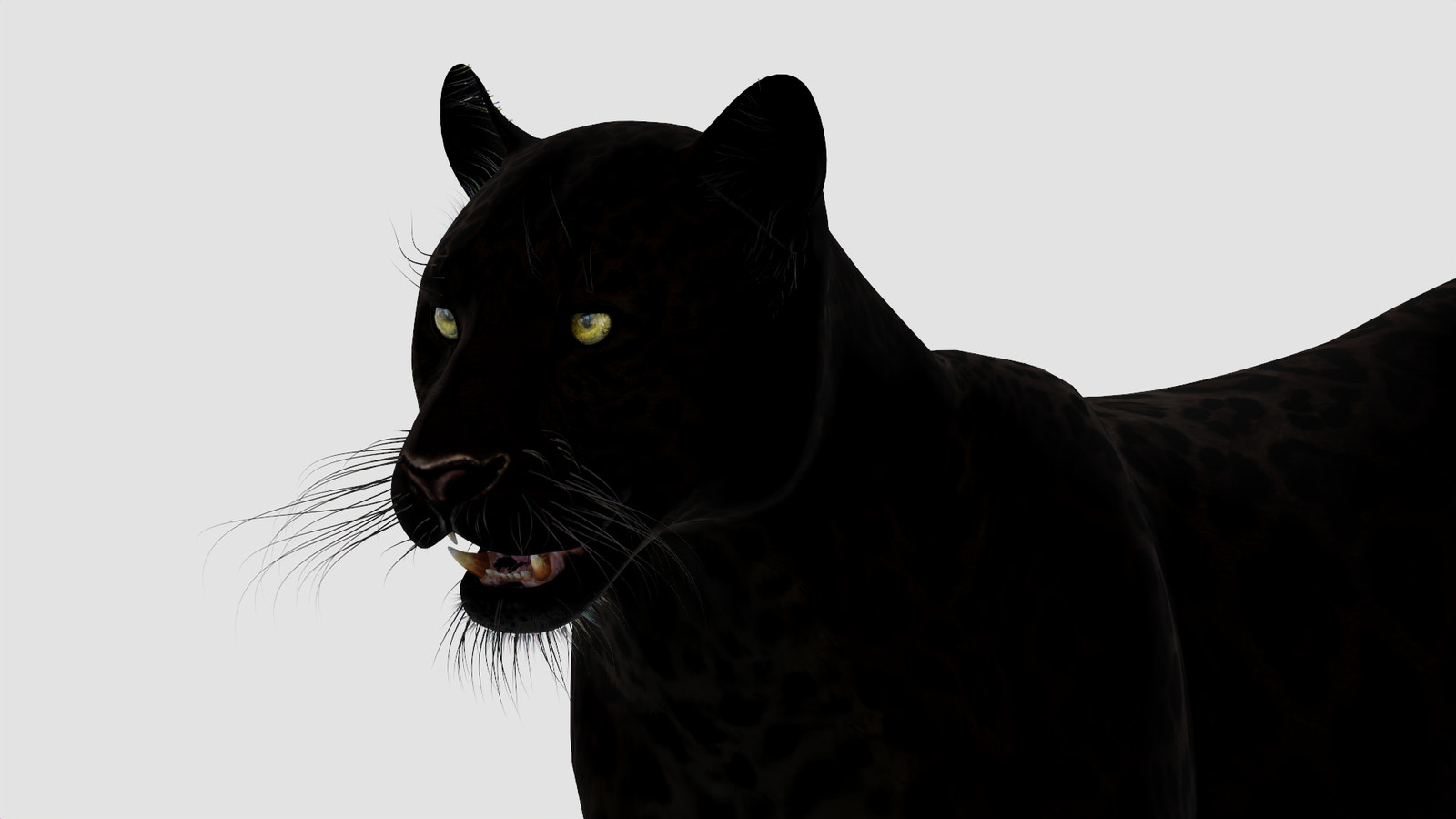 Realistic Black Panther Animal 3D Model Head Close Up 
