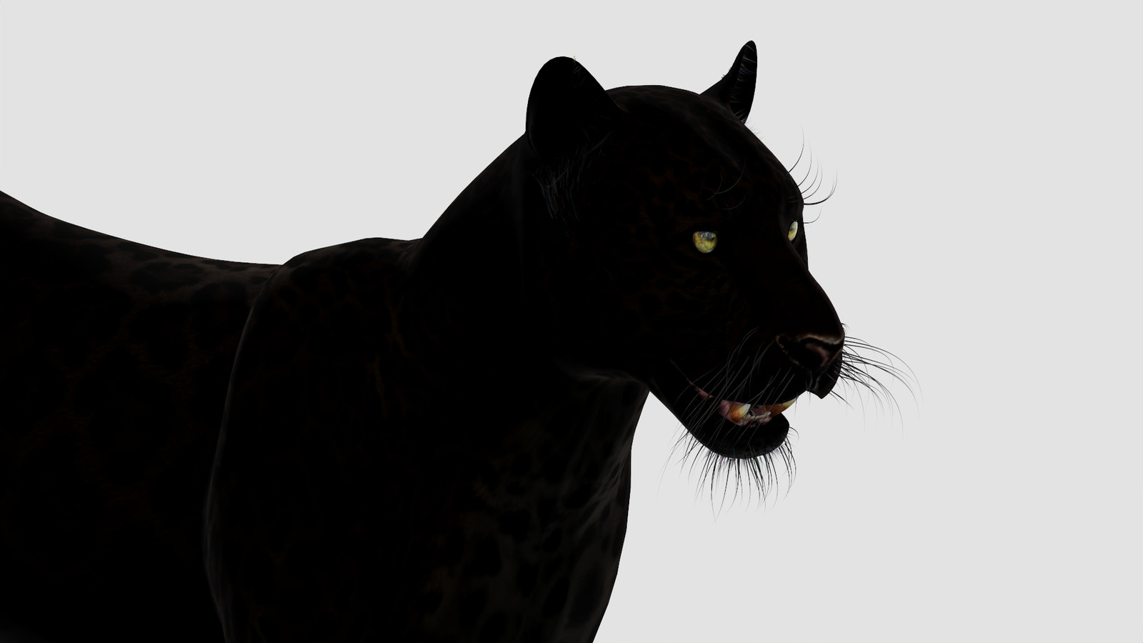 Realistic Black Panther Animal 3D Model Head Close Up 