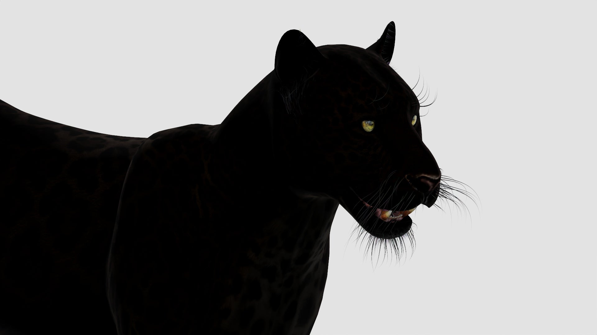 Realistic Black Panther Animal 3D Model Head Close Up 