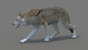 Red Wolf 3D Model Rigged Thumbnail