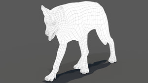 Red Wolf 3D Model Wireframe View 0 Thumbnail