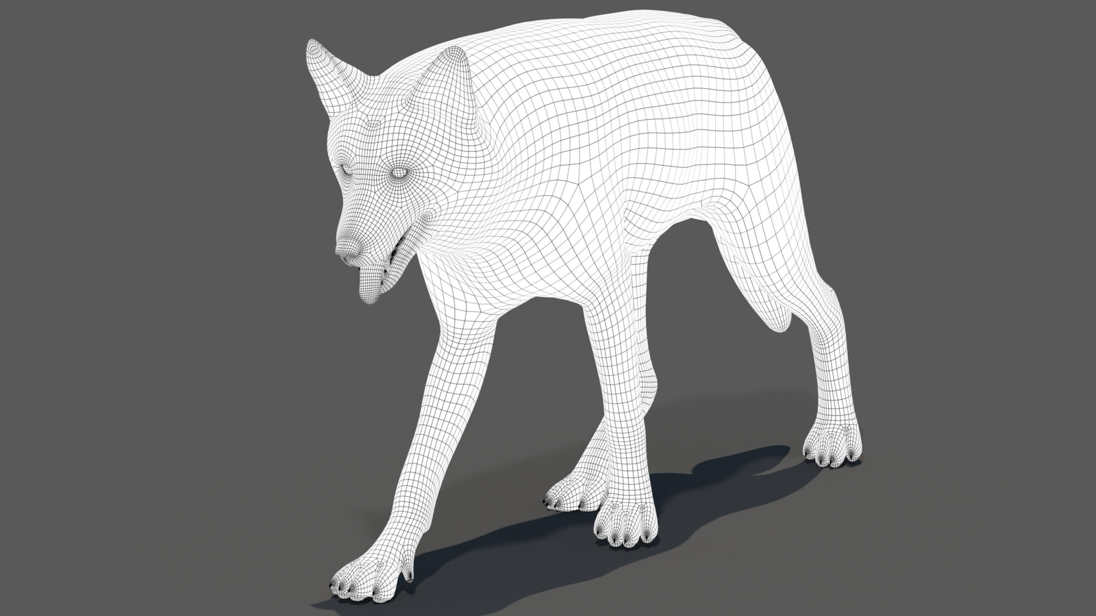 Red Wolf 3D Model Wireframe View 1