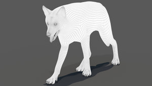 Red Wolf 3D Model Wireframe View 1 Thumbnail