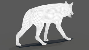 Red Wolf 3D Model Wireframe View 1 Thumbnail
