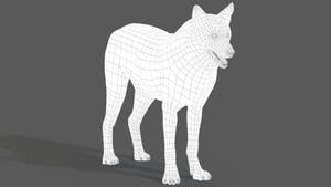 Red Wolf 3D Model Wireframe View Thumbnail