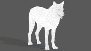 Red Wolf 3D Model Wireframe View Thumbnail