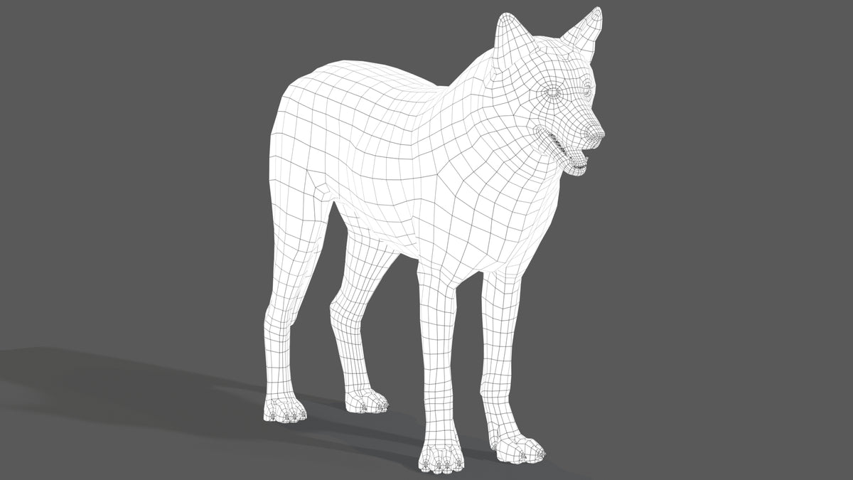Red Wolf 3D Model Wireframe View